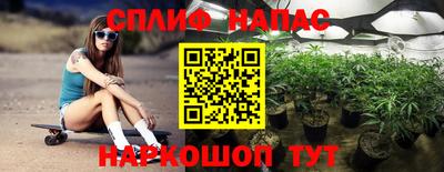 сатива Тверь