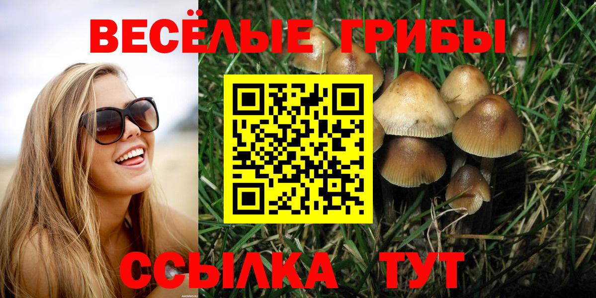 Новосибирск  Псилоцибиновые грибы прущие грибы  Вход с VPN 